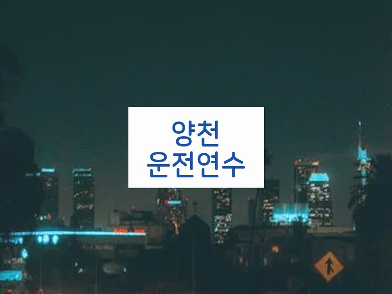 양천운전연수 후기