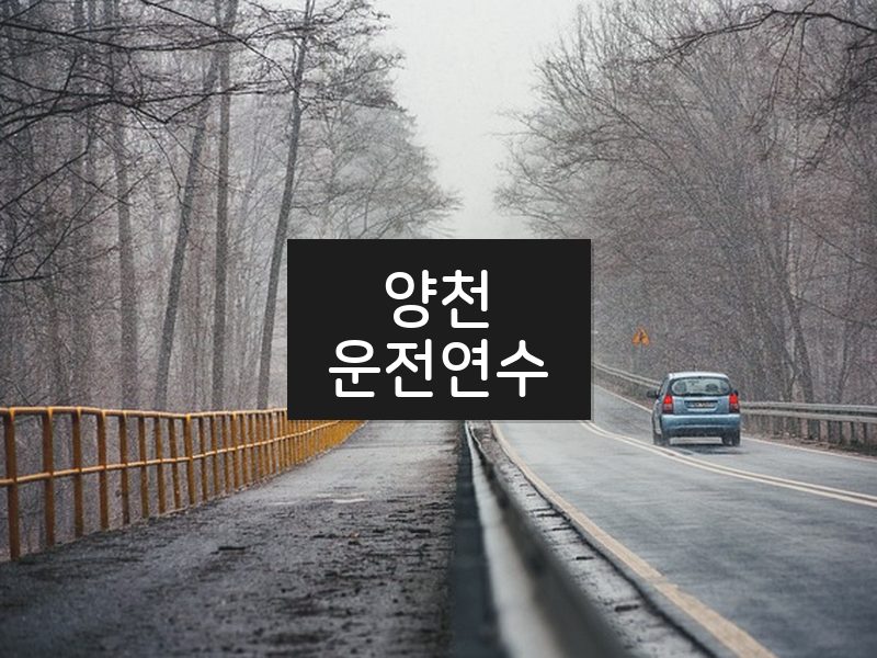 양천운전연수 후기