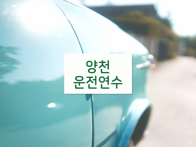양천운전연수 후기