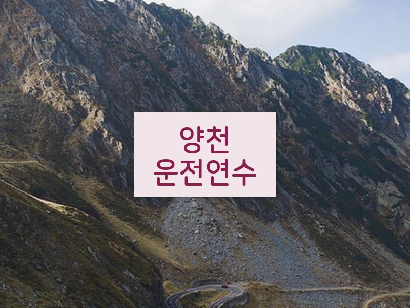 양천운전연수 후기