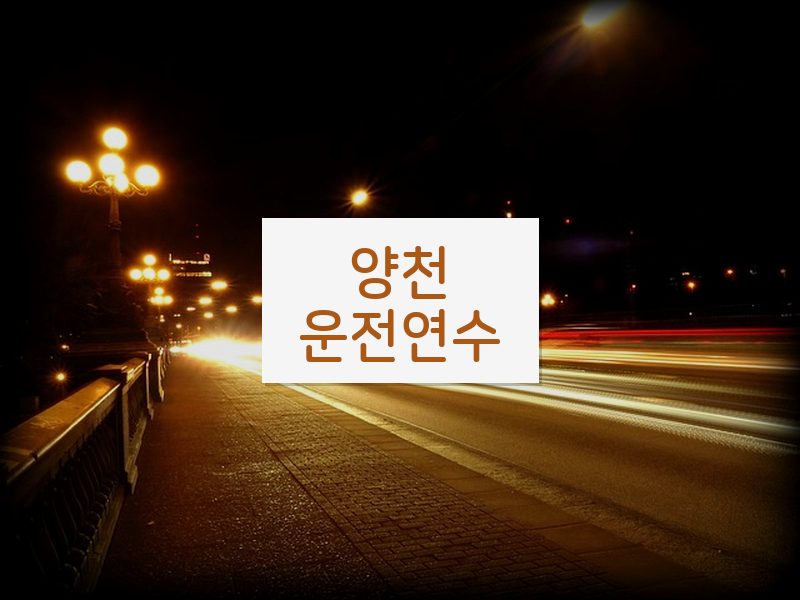 양천운전연수 후기