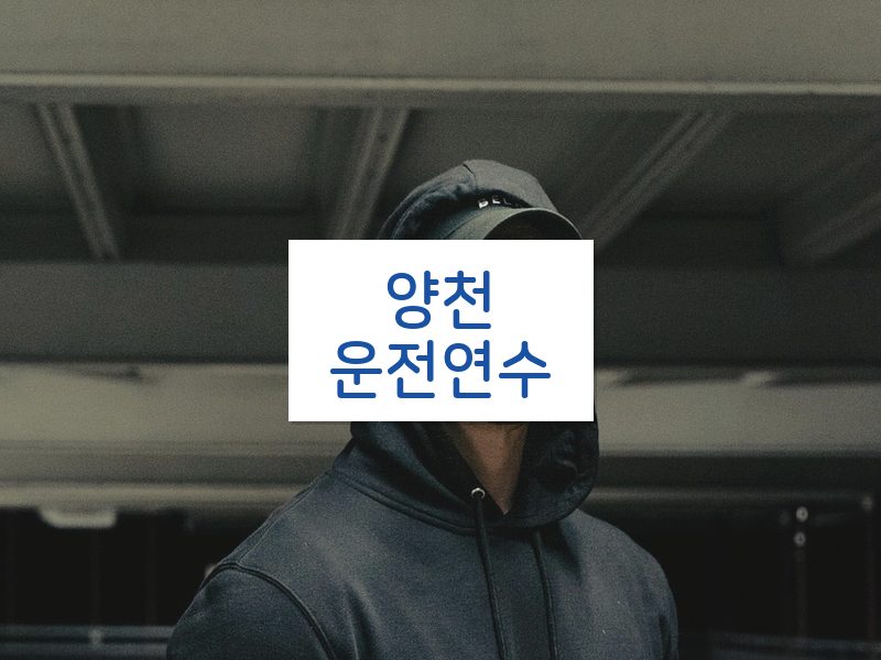 양천운전연수 후기
