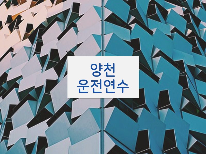 양천운전연수 후기