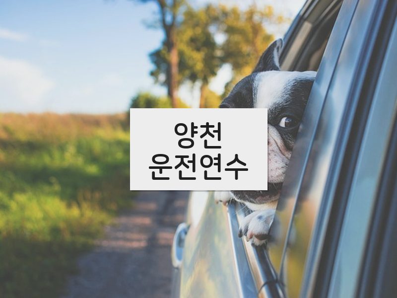 양천운전연수 후기