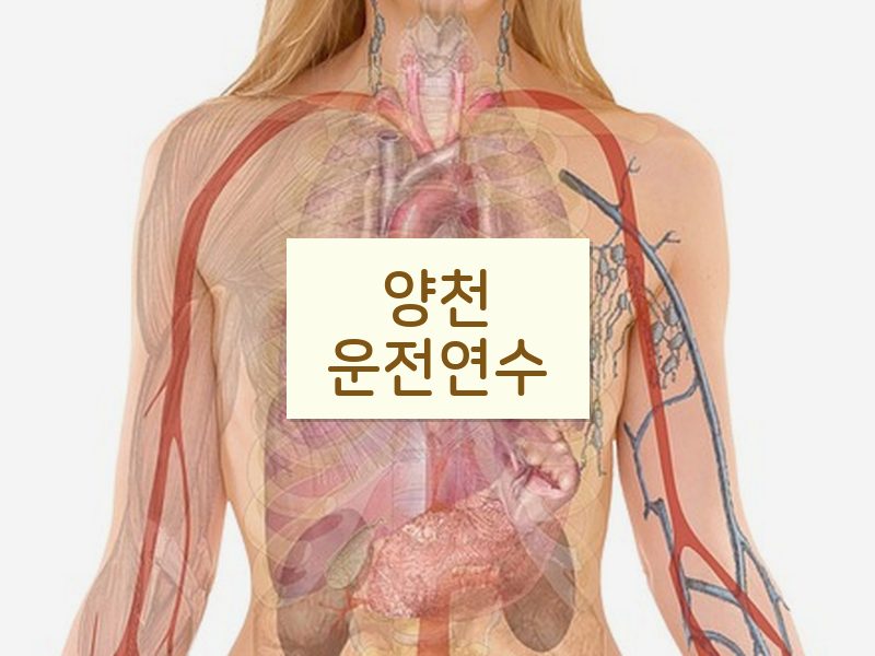 양천운전연수 후기
