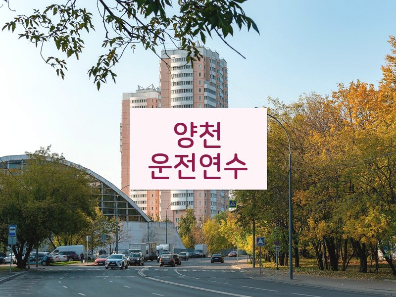 양천운전연수 후기