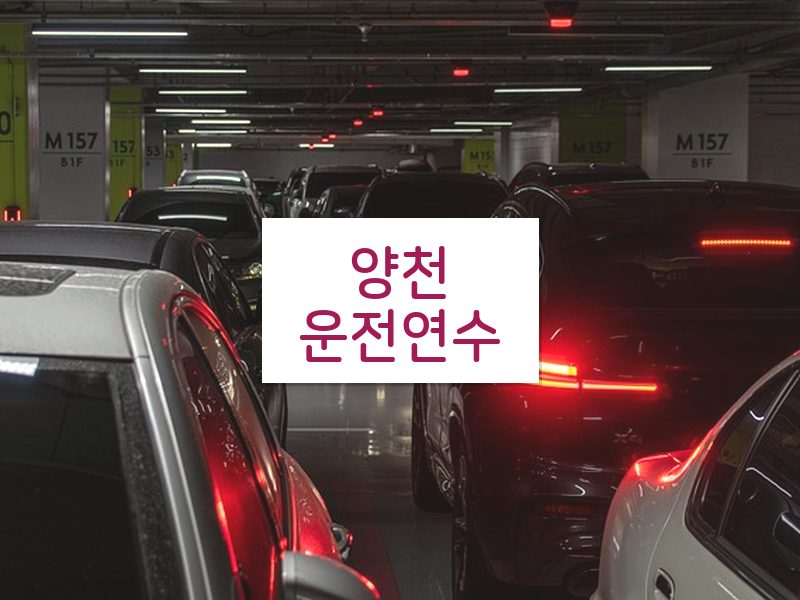 양천운전연수 후기