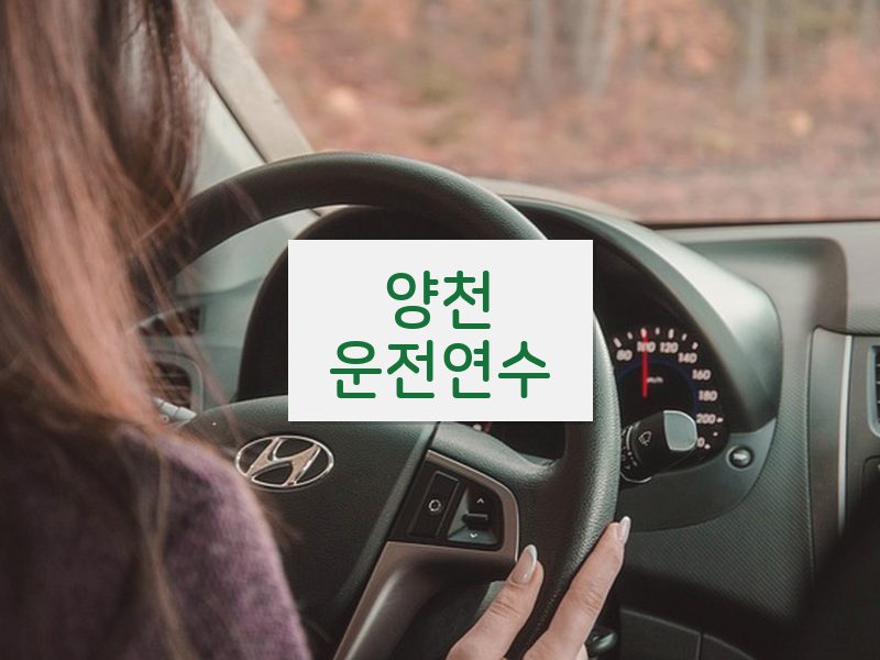양천운전연수 후기