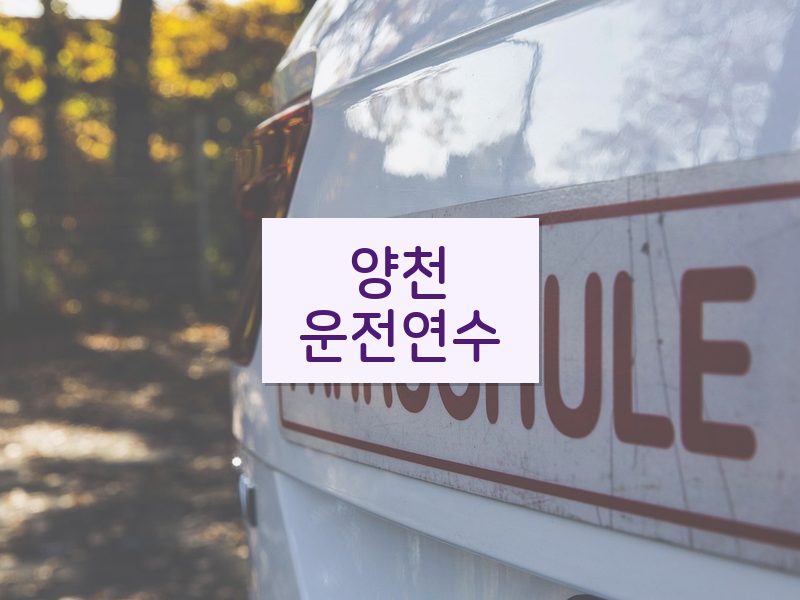 양천운전연수 후기