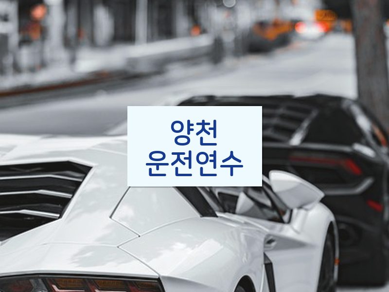 양천운전연수 후기