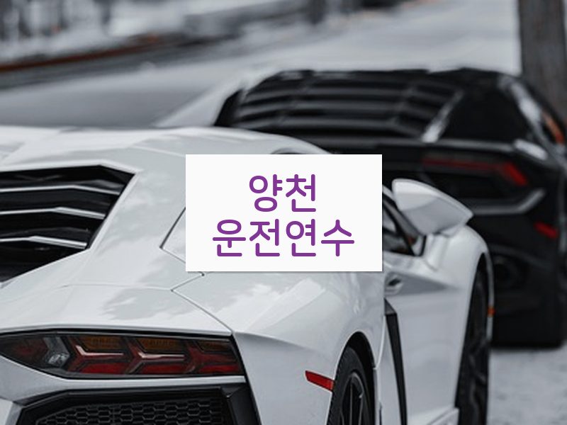 양천운전연수 후기