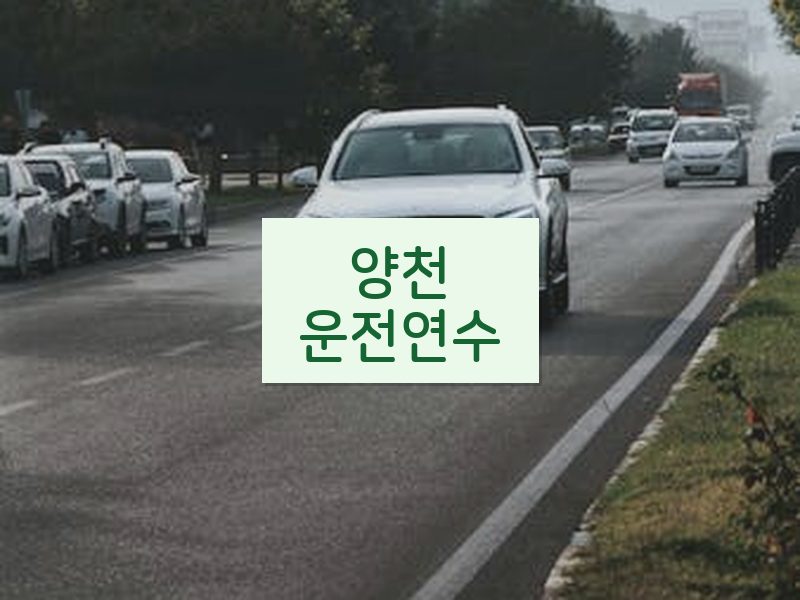 양천운전연수 후기