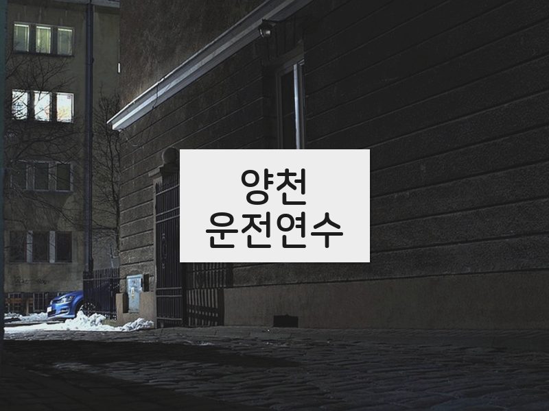 양천운전연수 후기