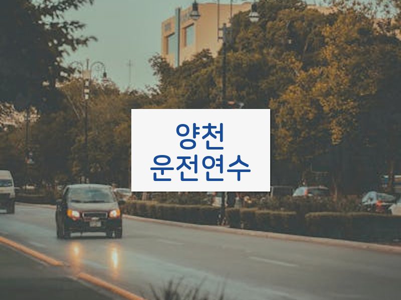 양천운전연수 후기