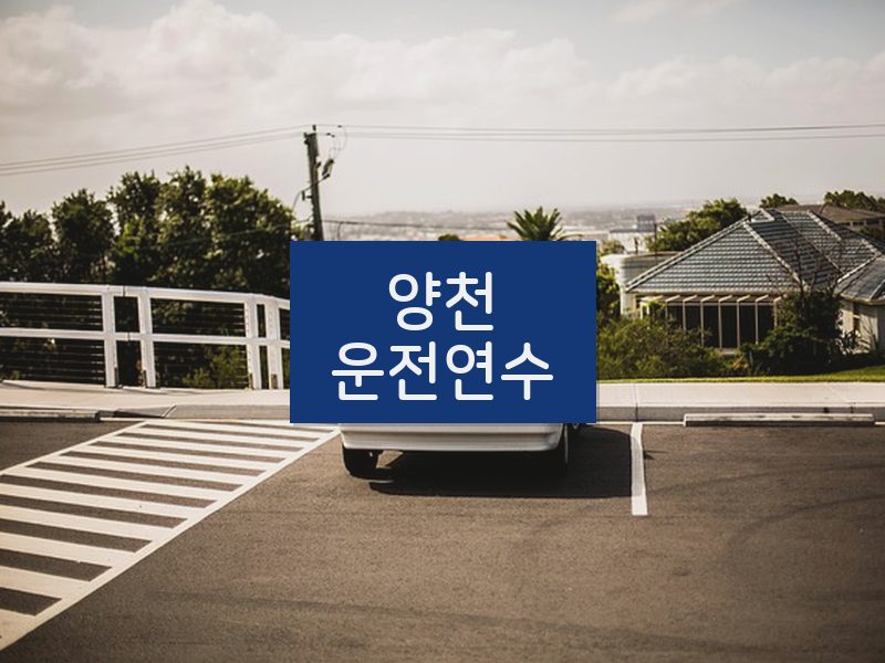 양천운전연수 후기