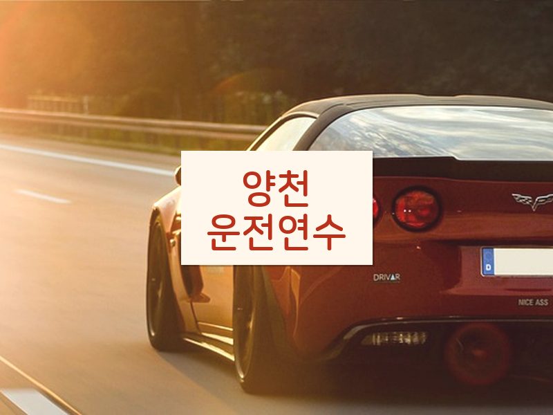 양천운전연수 후기