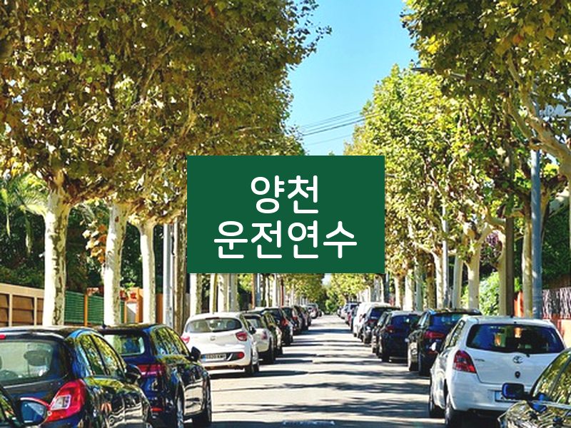 양천운전연수 후기