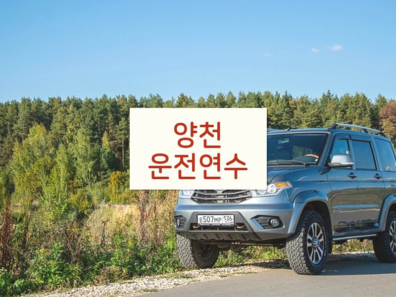 양천운전연수 후기