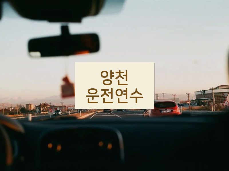 양천운전연수 후기