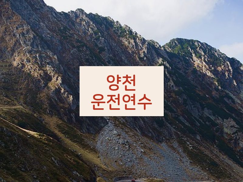 양천운전연수 후기