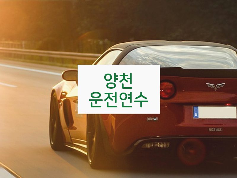 양천운전연수 후기
