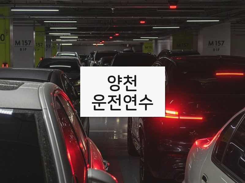 양천운전연수 후기