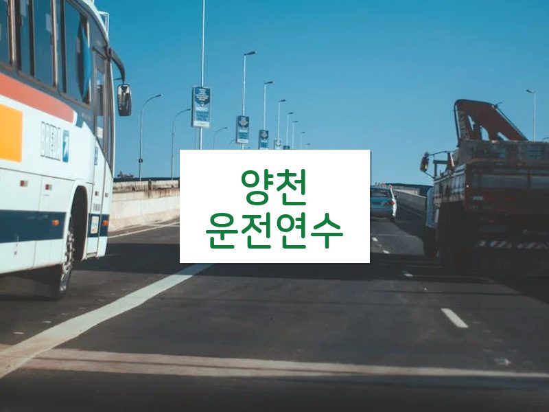 양천운전연수 후기