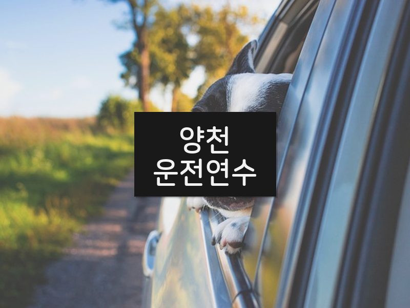 양천운전연수 후기