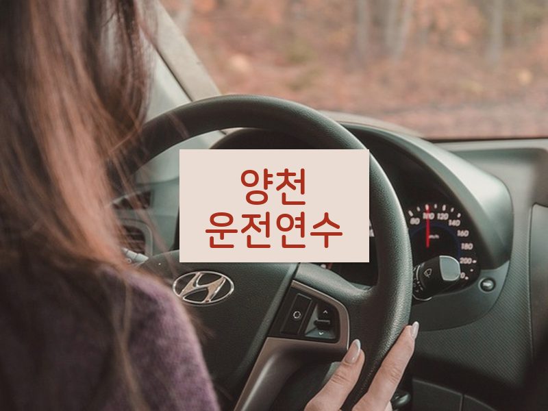 양천운전연수 후기