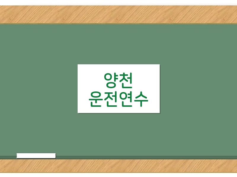 양천운전연수 후기