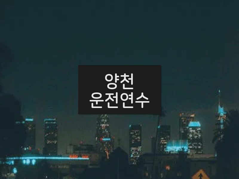 양천운전연수 후기