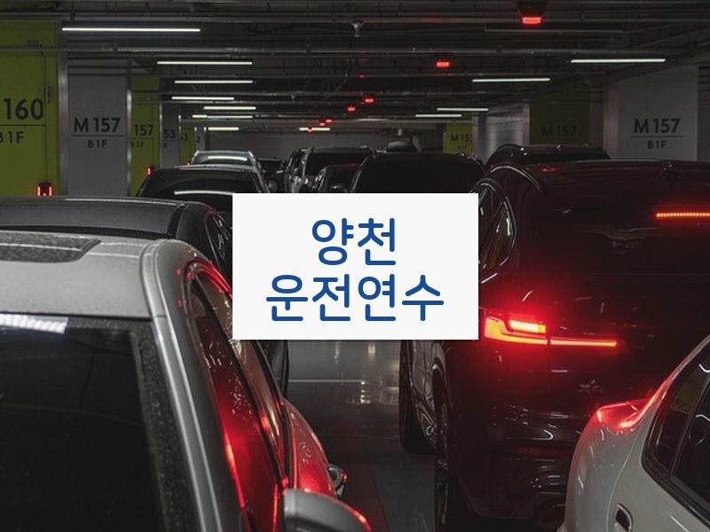 양천운전연수 후기