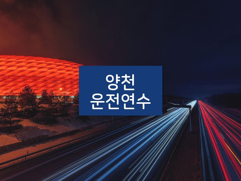 양천운전연수 후기