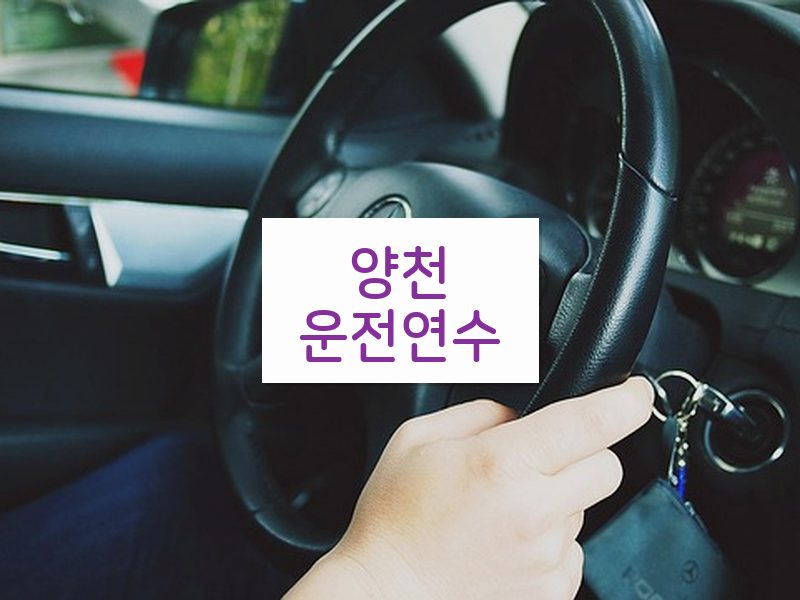 양천운전연수 후기