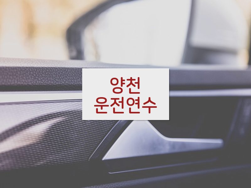 양천운전연수 후기