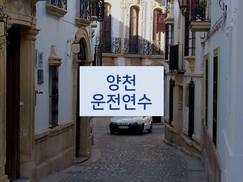 양천운전연수 후기
