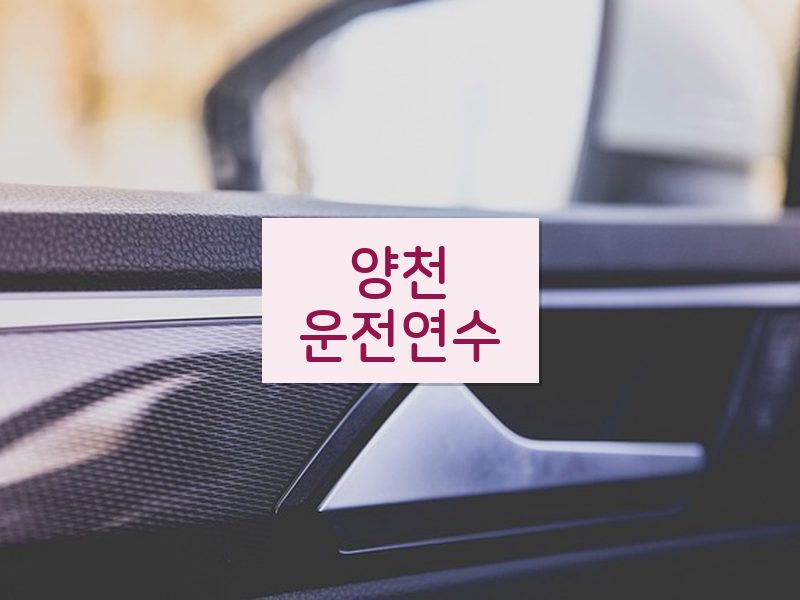 양천운전연수 후기