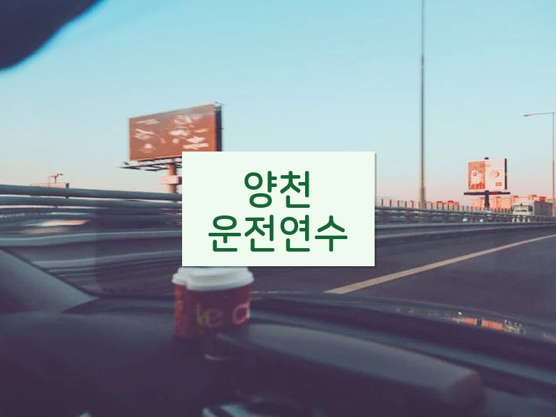 양천운전연수 후기