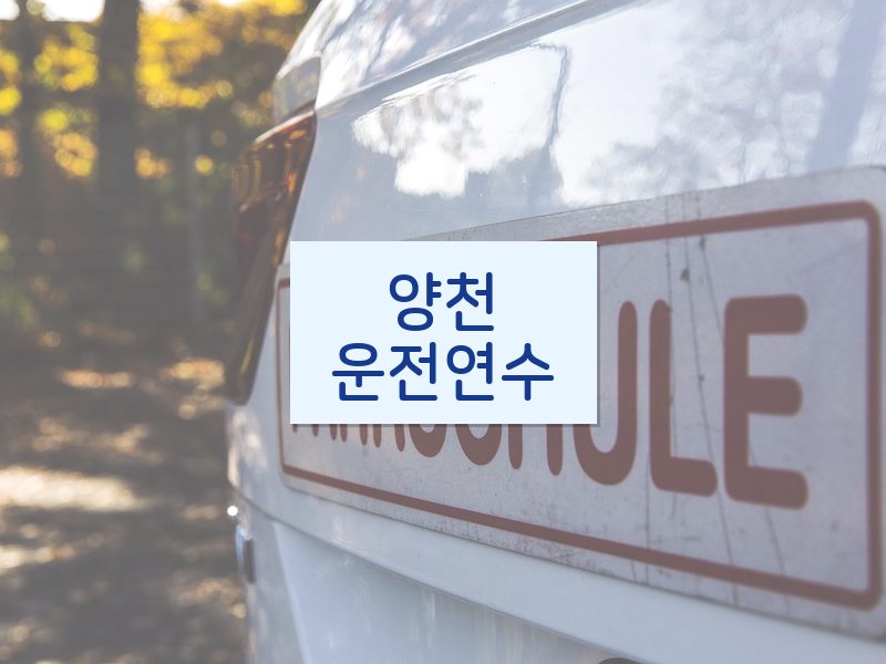 양천운전연수 후기