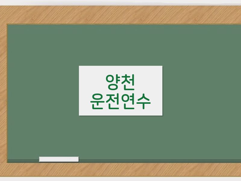 양천운전연수 후기