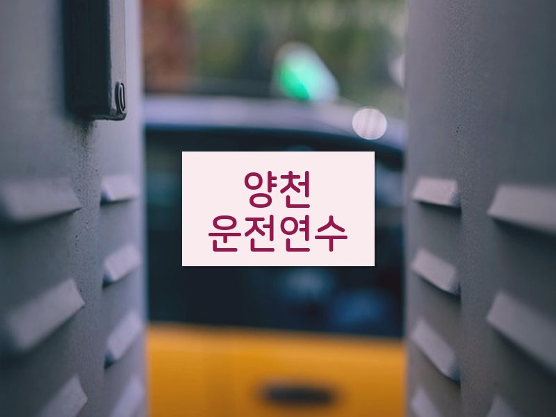 양천운전연수 후기