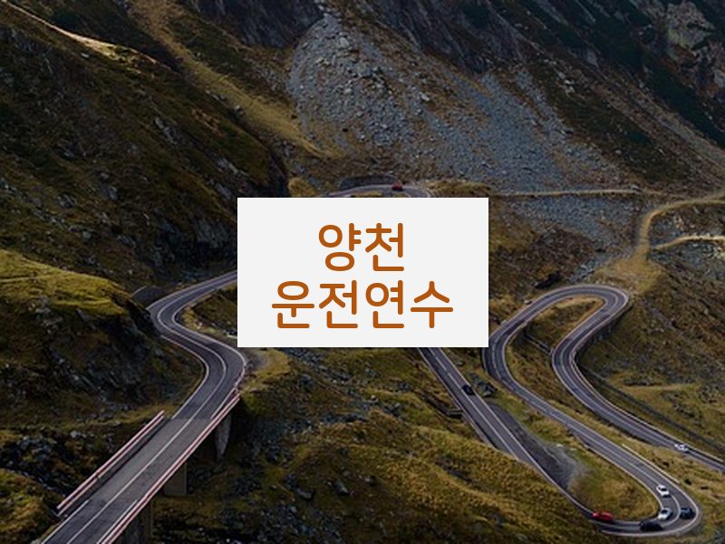 양천운전연수 후기