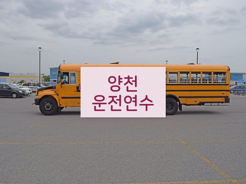 양천운전연수 후기