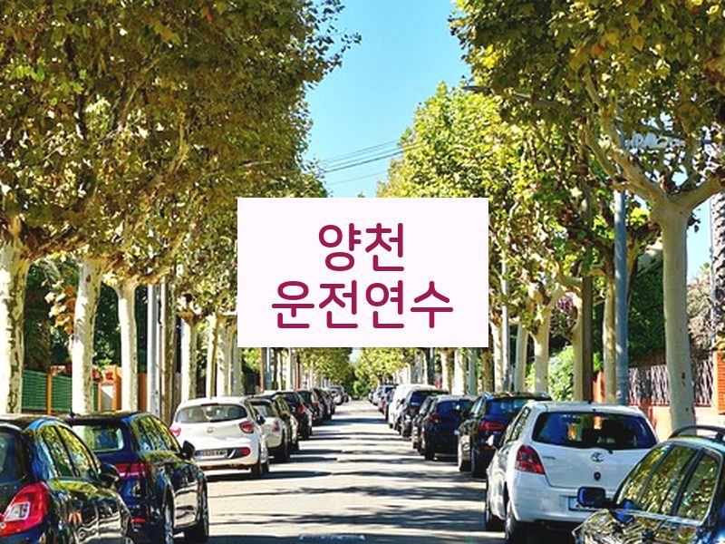 양천운전연수 후기