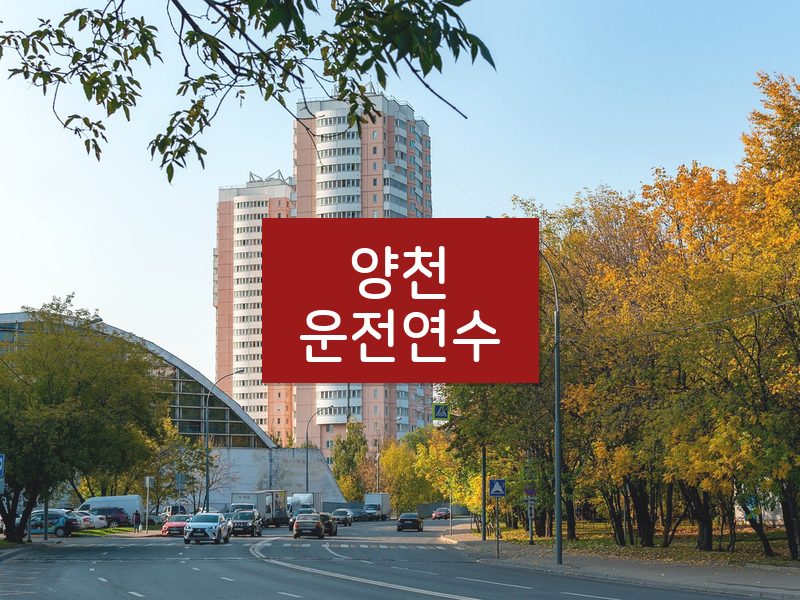 양천운전연수 후기