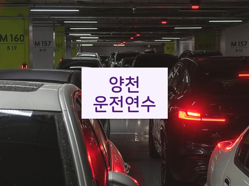 양천운전연수 후기