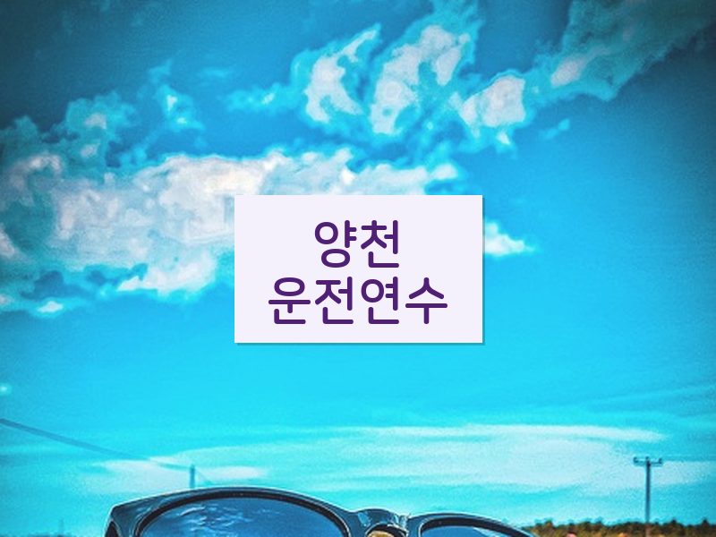 양천운전연수 후기