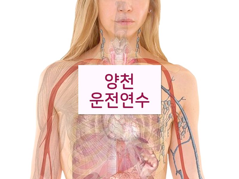 양천운전연수 후기