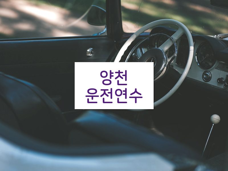 양천운전연수 후기