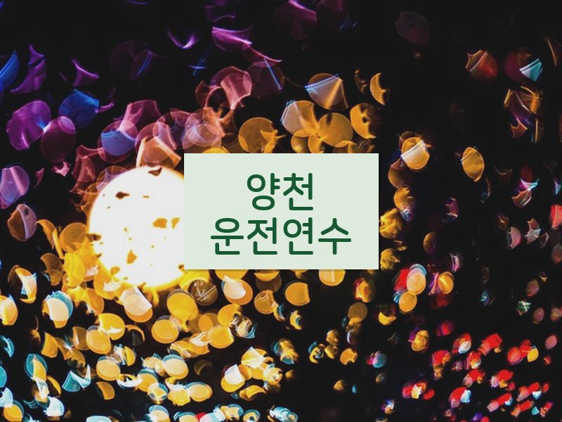 양천운전연수 후기